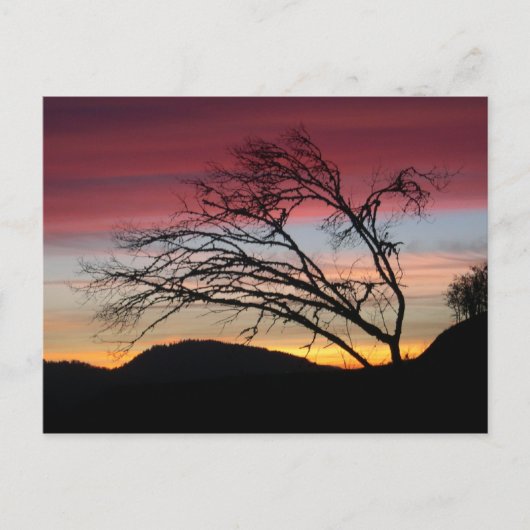 Beautiful sunset postcard postkarte (Vorderseite)