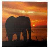 Beautiful Sunset with Silhouette of Elephant Fliese (Vorderseite)