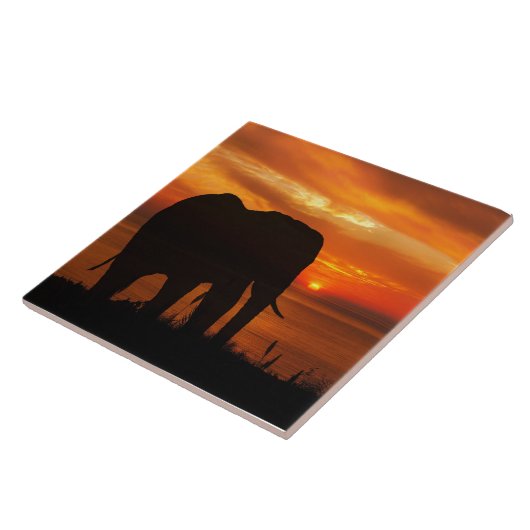 Beautiful Sunset with Silhouette of Elephant Fliese (Seite)