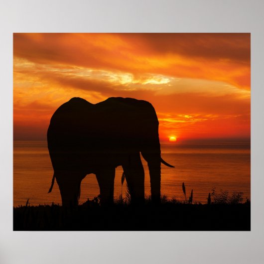 Beautiful Sunset with Silhouette of Elephant Poster (Vorne)