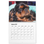 BEAUTIFUL SUPERSTAR CANINE DOGS KALENDER (Feb 2027)