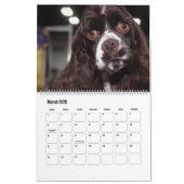 BEAUTIFUL SUPERSTAR CANINE DOGS KALENDER (Mär 2026)