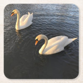 Beautiful swans rechteckiger pappuntersetzer (Vorderseite)