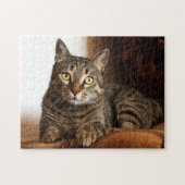 Beautiful Tabby Cat Puzzle (Horizontal)