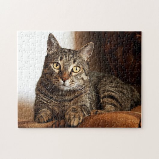 Beautiful Tabby Cat Puzzle (Horizontal)