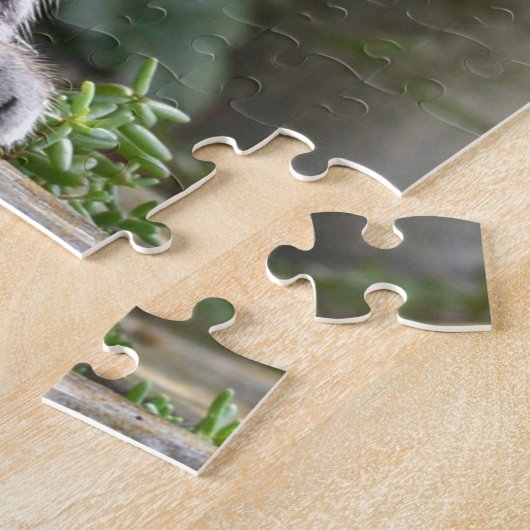 Beautiful Tabby Cat Puzzle (Seite)