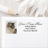 Beautiful Tabby Cat Rücksendeadresse (Insitu)