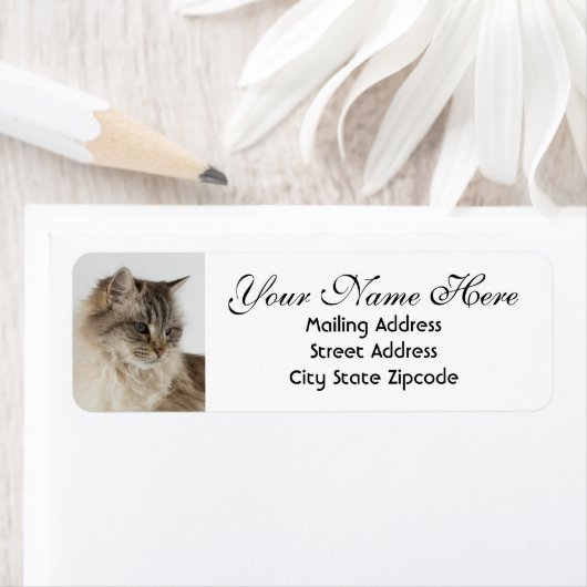 Beautiful Tabby Cat Rücksendeadresse (Insitu)