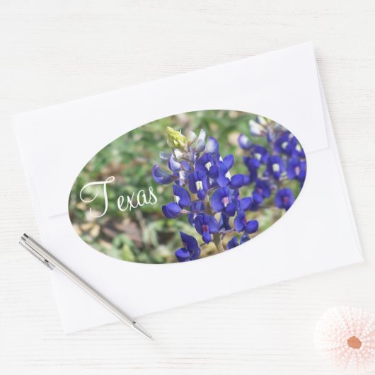 Beautiful Texas Bluebonnet Wildblume Sticker (Umschlag)
