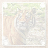 Beautiful Tiger Glasuntersetzer (Rückseite)