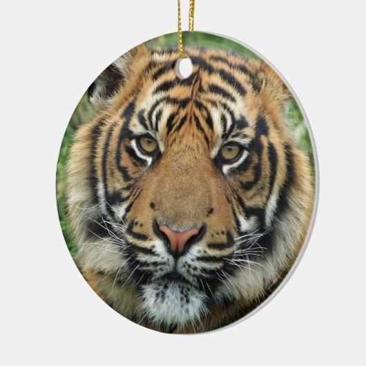 Beautiful Tiger Keramikornament (Links)
