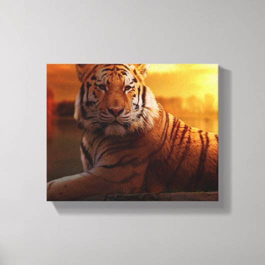 Beautiful Tiger Leinwanddruck (Vorderseite)