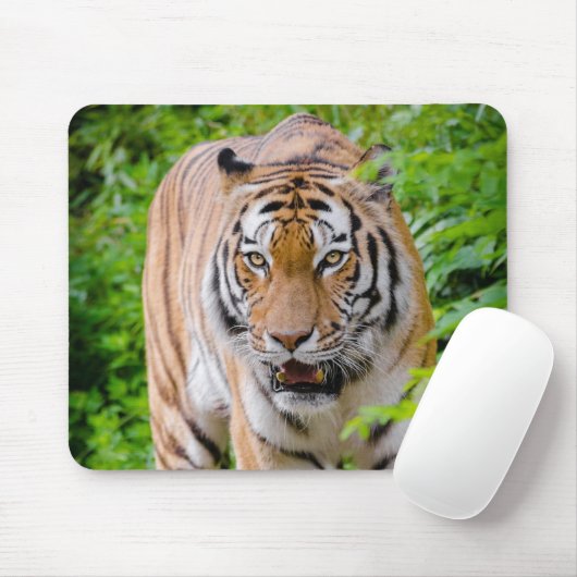 Beautiful Tiger Mouse Mat Mousepad (Mit Mouse)