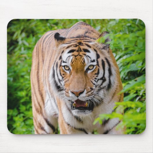 Beautiful Tiger Mouse Mat Mousepad (Vorne)