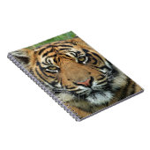 Beautiful Tiger Notizblock (Rechte Seite)