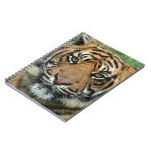 Beautiful Tiger Notizblock (Linke Seite)