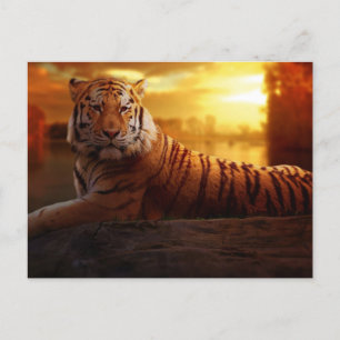Beautiful Tiger Postkarte