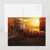 Beautiful Tiger Postkarte (Vorne/Hinten)