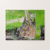 Beautiful Tiger Puzzle (Horizontal)