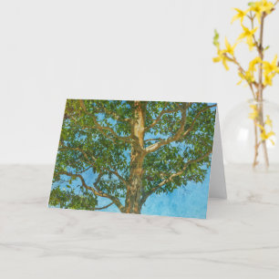 Beautiful Tree and Blue Sky Art Note Card Karte