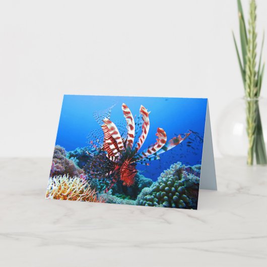 Beautiful Tropical Lionfish Karte (Vorderseite)