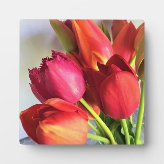Beautiful Tulip Bouquet Fotoplatte (Vorderseite)