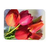 Beautiful Tulip Bouquet Magnet (Horizontal)