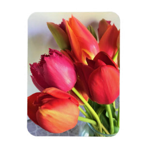 Beautiful Tulip Bouquet Magnet