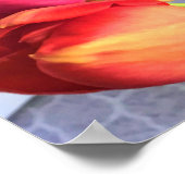 Beautiful Tulip Bouquet Poster (Ecke)