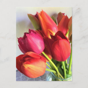 Beautiful Tulip Bouquet Postkarte