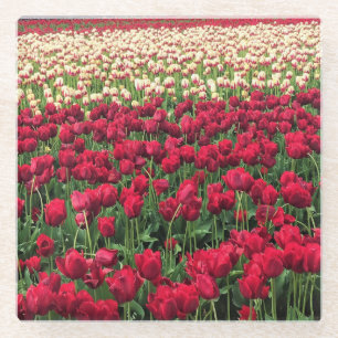Beautiful Tulip Field Oregon Glasuntersetzer