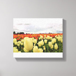Beautiful Tulip Field Oregon Leinwanddruck