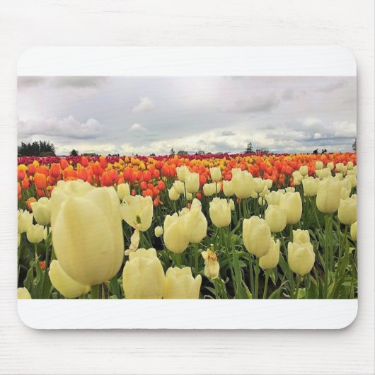 Beautiful Tulip Field Oregon Mousepad (Vorne)
