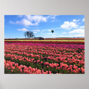 Beautiful Tulip Field with Hot Air Balloon, Oregon Poster