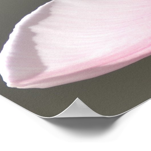 Beautiful Tulip Poster (Ecke)