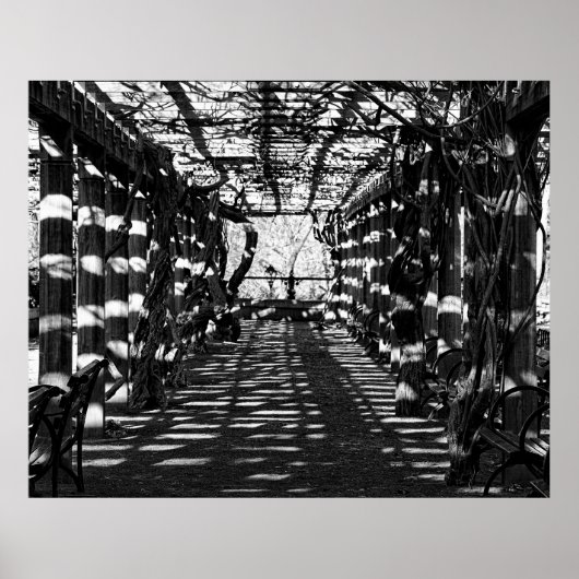 Beautiful View in Central Park, NYC Poster (Vorne)