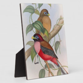 Beautiful Vintag Birds Tabletop Plaque mit Easel Fotoplatte