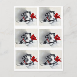 Beautiful Vintag Boston Terrier Puppy Postkarte