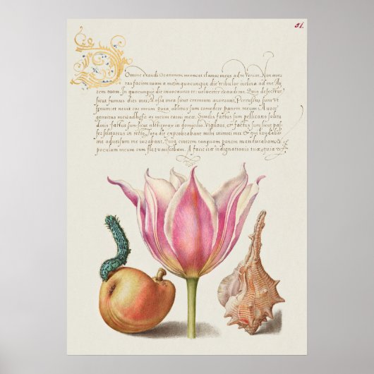 Beautiful Vintage Botanical Illustration Poster (Vorne)