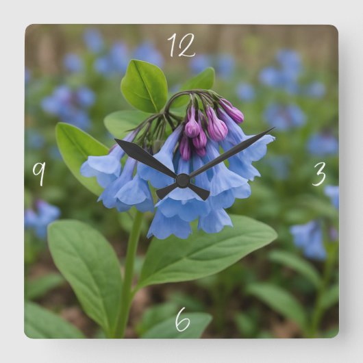 Beautiful Virginia Bluebells Quadratische Wanduhr (Vorderseite)
