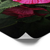 Beautiful Visions Hibisken Floral Wall Art GPsg Poster (Ecke)