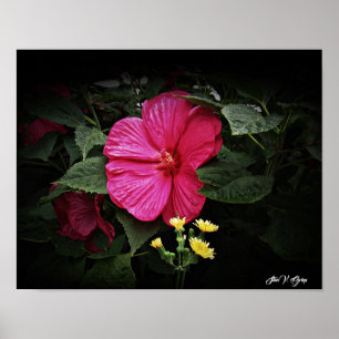 Beautiful Visions Hibisken Floral Wall Art GPsg Poster