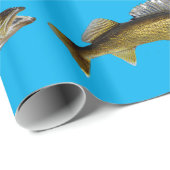 Beautiful Walleye auf Blue Geschenkpapier (Rolleneckpunkt)