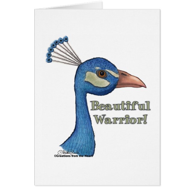 Beautiful Warrior (Vorne)