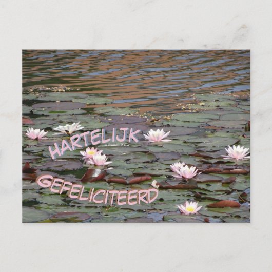 Beautiful Water Lilies Gefeliciteerd Postkarte (Vorderseite)
