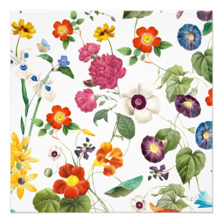 Beautiful Watercolor Botanical Fotodruck