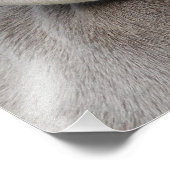 Beautiful Weimaraner Fotodruck (Ecke)