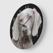 Beautiful Weimaraner Große Wanduhr (Winkel)