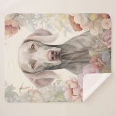 Beautiful Weimaraner Sherpadecke (Vorderseite (Horizontal))