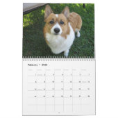 Beautiful Welsh Corgi Kalender (Feb 2026)